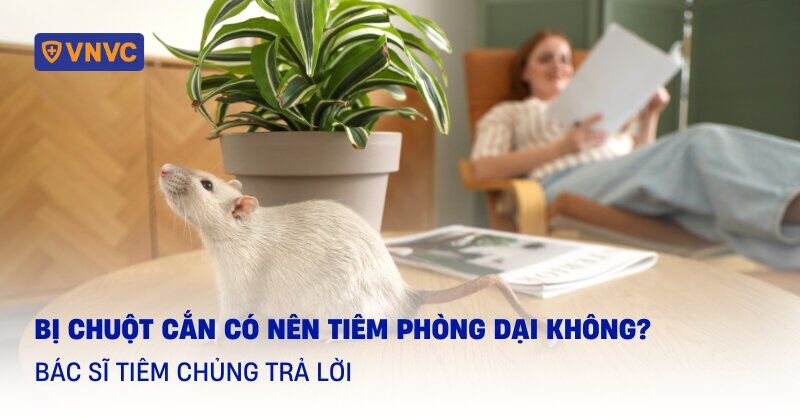 Bị Chuột Cắn Có Nên Tiêm Phòng Dại Không: Hướng Dẫn Chi Tiết Xử Lý Vết Thương