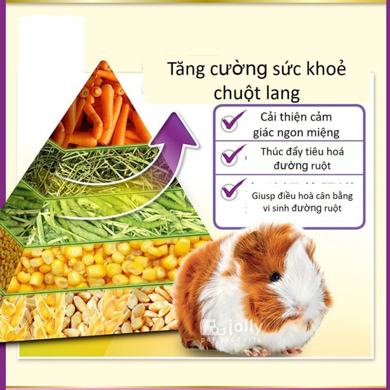 Thức Ăn Cho Chuột Lang: Công Thức Dinh Dưỡng Hoàn Hảo Cho Sức Khỏe Toàn Diện